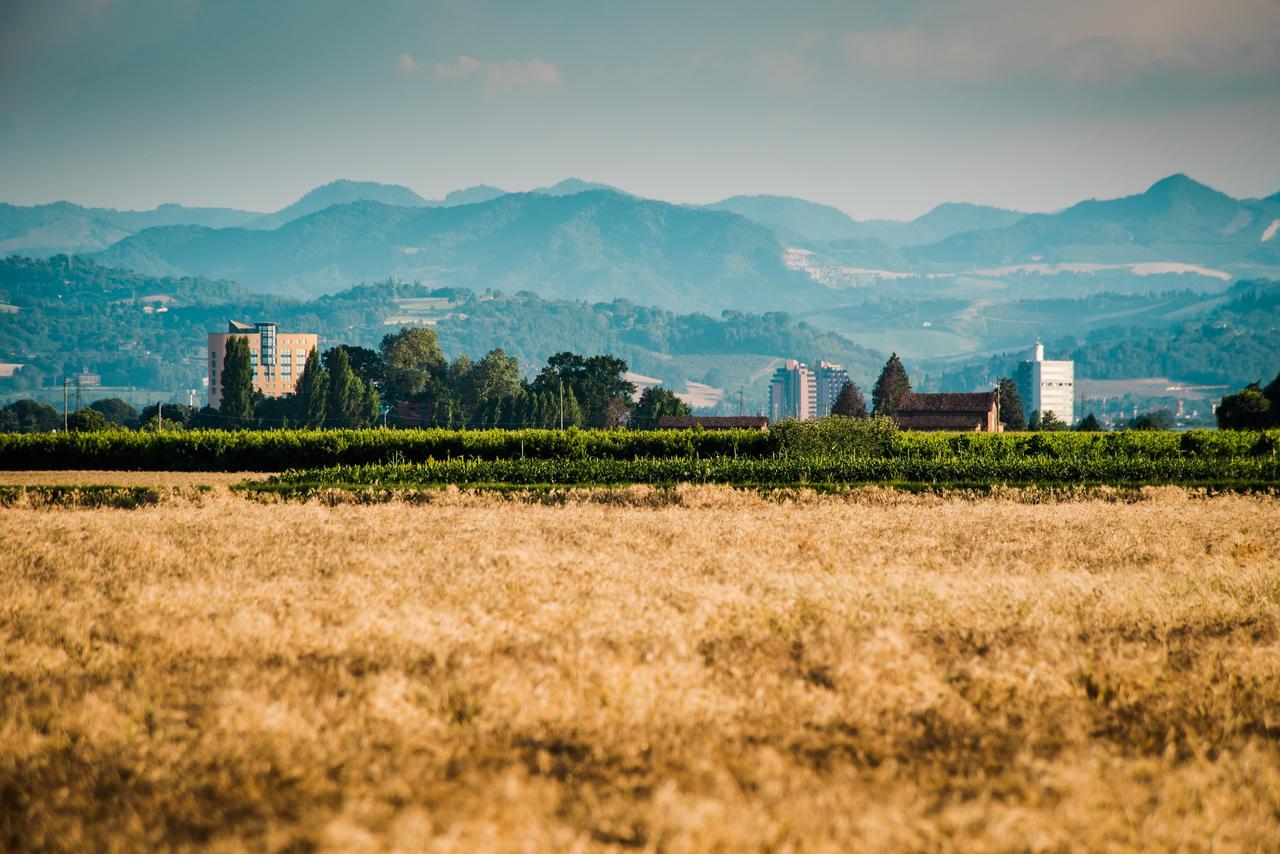 Podere Zampiera Vecchia 이몰라 외부 사진